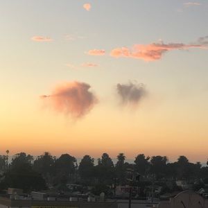 Meet your Posher, Zurimar